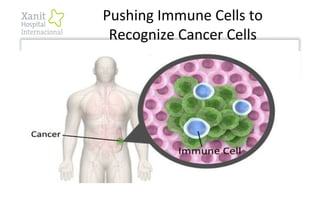 Pushing Immune Cells to
Recognize Cancer Cells
 