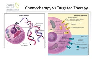 Chemotherapy vs Targeted Therapy
 