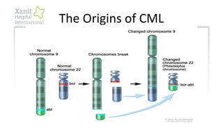 The Origins of CML
 