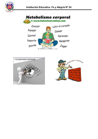 Institución Educativa Fe y Alegría N° 24
 