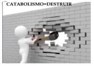 Institución Educativa Fe y Alegría N° 24
 