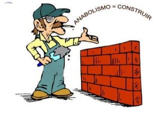 Institución Educativa Fe y Alegría N° 24
 