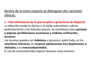 Dentro de la tinea corporis se distinguen dos variantes
clínicas:
1 - Tiña inflamatoria de la piel lampiña o granuloma de Majocchi
La infección invade la dermis o el tejido subcutáneo y afecta
profundamente a los folículos pilosos. Se manifiesta como pústulas
o pápulas perifoliculares escamosas y nódulos confluentes
anulares.
Las lesiones pueden ser indoloras y aparecen, sobre todo, en los
miembros inferiores, en mujeres adolescentes tras depilaciones o
afeitados y en inmunodeprimidos.
El uso de corticosteroides tópicos favorece estas lesiones
 