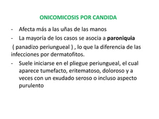 ONICOMICOSIS POR CANDIDA
- Afecta más a las uñas de las manos
- La mayoría de los casos se asocia a paroniquia
( panadizo periungueal ) , lo que la diferencia de las
infecciones por dermatofitos.
- Suele iniciarse en el pliegue periungueal, el cual
aparece tumefacto, eritematoso, doloroso y a
veces con un exudado seroso o incluso aspecto
purulento
 
