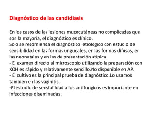 Diagnóstico de las candidiasis
En los casos de las lesiones mucocutáneas no complicadas que
son la mayoría, el diagnóstico es clínico.
Solo se recomienda el diagnóstico etiológico con estudio de
sensibilidad en las formas ungueales, en las formas difusas, en
las neonatales y en las de presentación atípica.
- El examen directo al microscopio utilizando la preparación con
KOH es rápido y relativamente sencillo.No disponible en AP.
- El cultivo es la principal prueba de diagnóstico.Lo usamos
tambien en las vaginitis.
-El estudio de sensibilidad a los antifungicos es importante en
infecciones diseminadas.
 