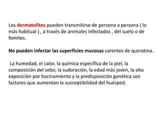 Los dermatofitos pueden transmitirse de persona a persona ( lo
más habitual ) , a través de animales infectados , del suelo o de
fomites.
No pueden infectar las superficies mucosas carentes de queratina.
La humedad, el calor, la química específica de la piel, la
composición del sebo, la sudoración, la edad más joven, la alta
exposición por hacinamiento y la predisposición genética son
factores que aumentan la susceptibilidad del huésped.
 