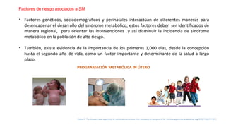 Factores de riesgo asociados a SM 
• Factores genéticos, sociodemográficos y perinatales interactúan de diferentes maneras para 
desencadenar el desarrollo del síndrome metabólico; estos factores deben ser identificados de 
manera regional, para orientar las intervenciones y así disminuir la incidencia de síndrome 
metabólico en la población de alto riesgo. 
• También, existe evidencia de la importancia de los primeros 1,000 días, desde la concepción 
hasta el segundo año de vida, como un factor importante y determinante de la salud a largo 
plazo. 
PROGRAMACIÓN METABÓLICA IN ÚTERO 
Victora C. The thousand days opportunity for nutritional interventions: from conception to two years of life. Archivos argentinos de pediatría. Aug 2012;110(4):311-317. 
 
