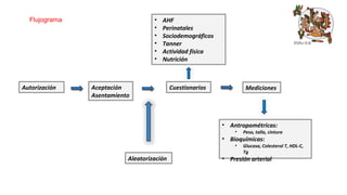 Autorización Aceptación 
Asentamiento 
• AHF 
• Perinatales 
• Sociodemográficos 
• Tanner 
• Actividad física 
• Nutrición 
Cuestionarios 
Mediciones 
• Antropométricas: 
• Peso, talla, cintura 
• Bioquímicas: 
• Glucosa, Colesterol T, HDL-C, 
Tg 
• Presión arterial 
Flujograma 
Aleatorización 
 