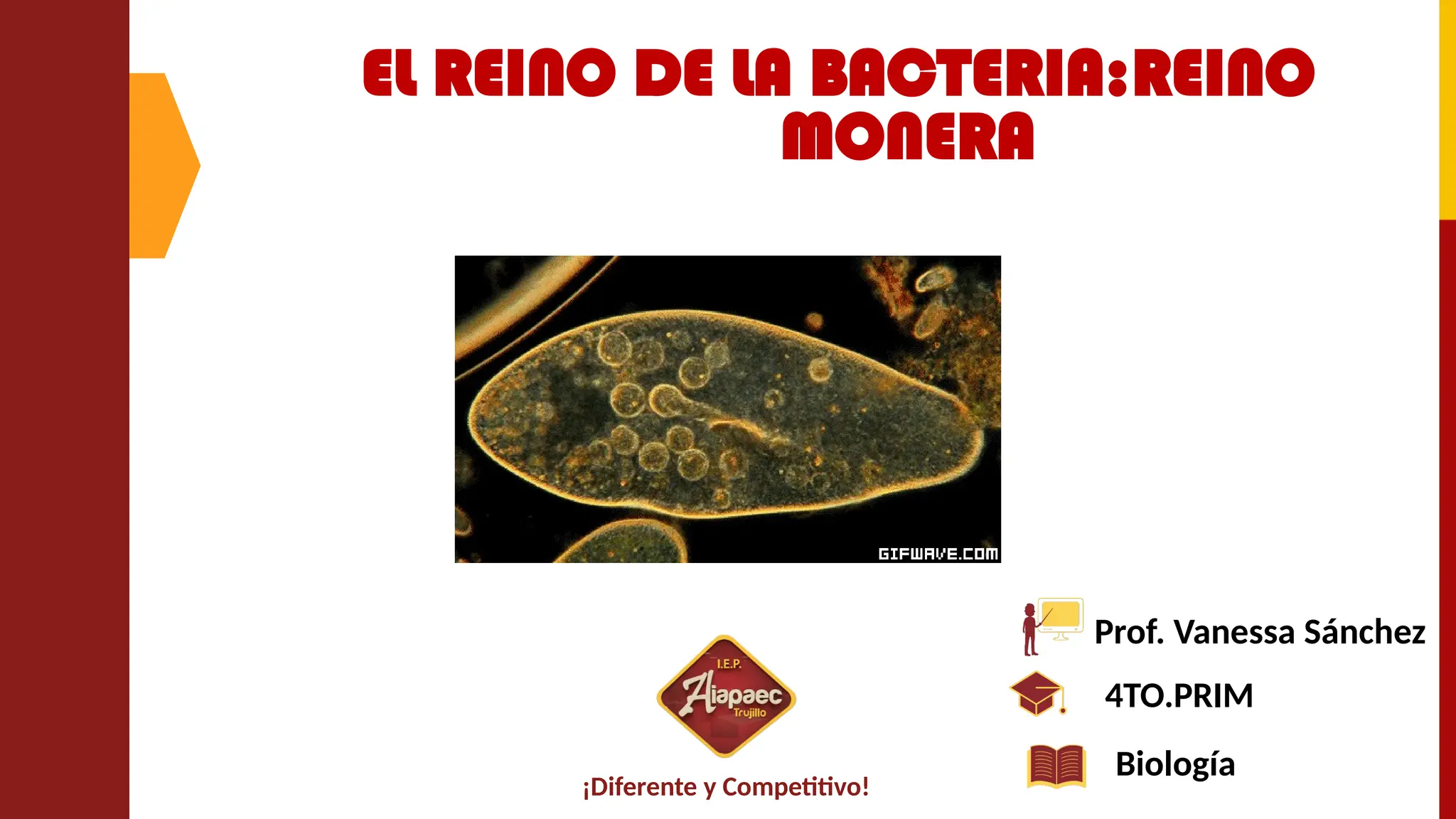 SESION Nº03-REINO MONERA.pptxSESION Nº03-REINO MONERA.pptx