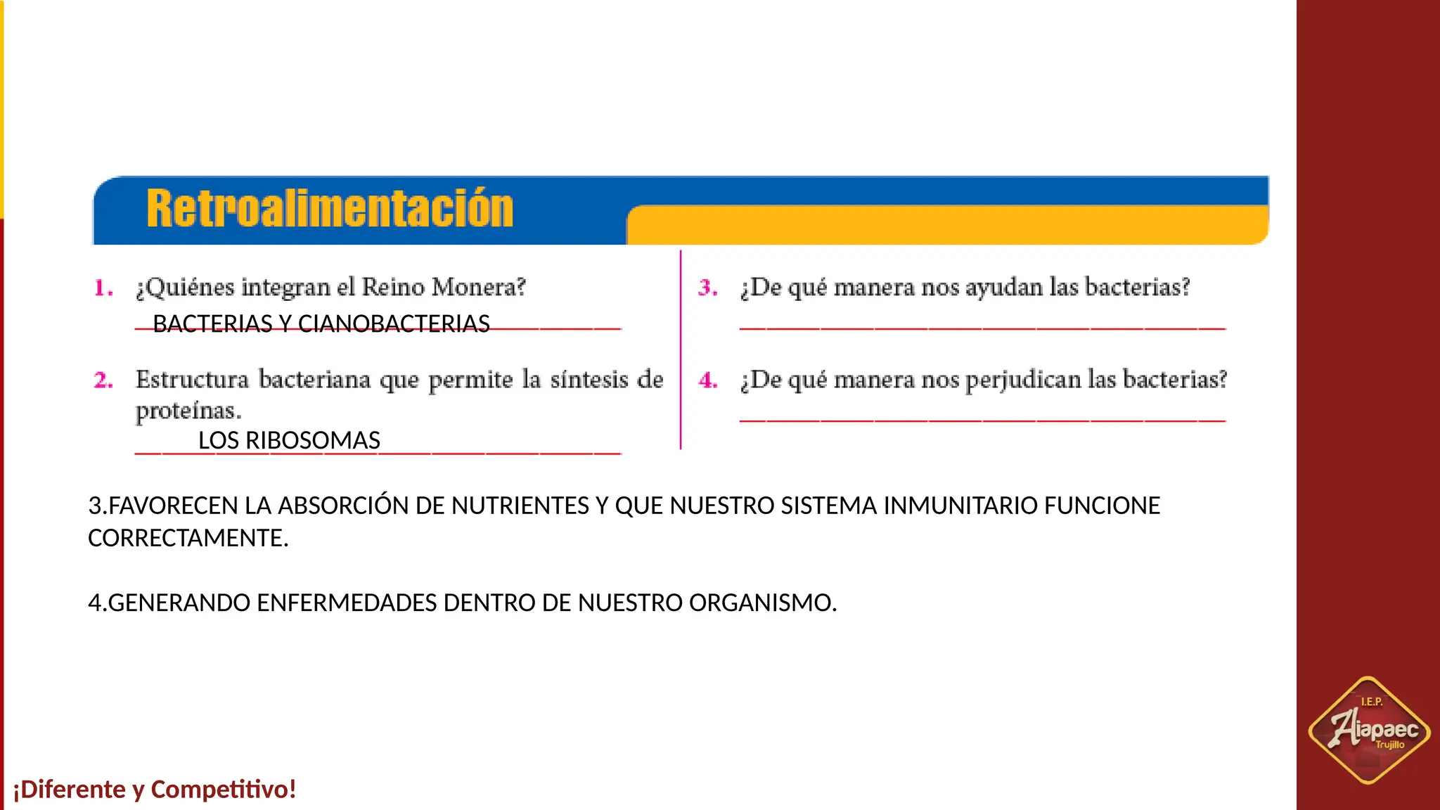 SESION Nº03-REINO MONERA.pptxSESION Nº03-REINO MONERA.pptx