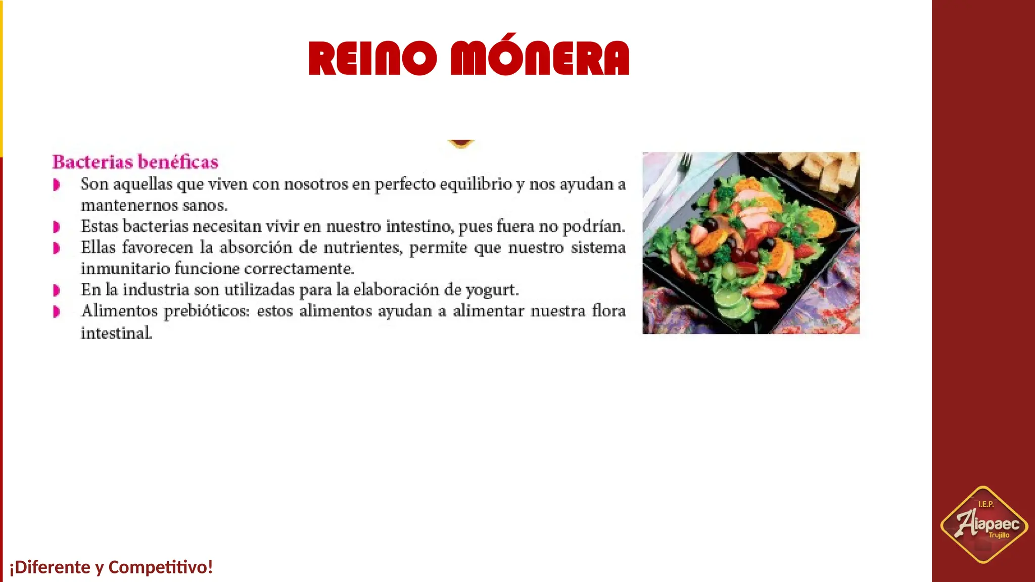 SESION Nº03-REINO MONERA.pptxSESION Nº03-REINO MONERA.pptx