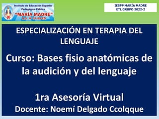 ESPECIALIZACIÓN EN TERAPIA DEL
LENGUAJE
Curso: Bases fisio anatómicas de
la audición y del lenguaje
1ra Asesoría Virtual
Docente: Noemí Delgado Ccolqque
IESPP MARÍA MADRE
ETL GRUPO 2022-2
 