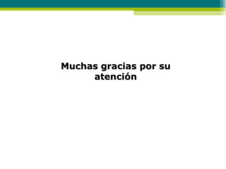 Muchas gracias por su atención 
