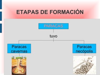 ETAPAS DE FORMACIÓN



           tuvo

Paracas            Paracas
cavernas          necópolis
 