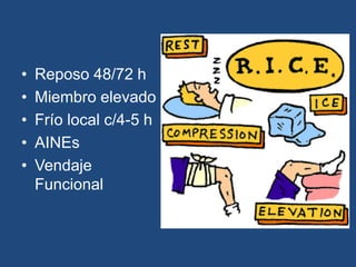 • Reposo 48/72 h
• Miembro elevado
• Frío local c/4-5 h
• AINEs
• Vendaje
Funcional
 
