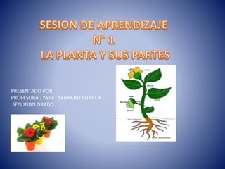 PRESENTADO POR:
PROFESORA : YANET SERRANO PUNCCA
SEGUNDO GRADO
 