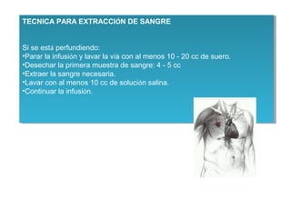 TECNICA PARA EXTRACCIÓN DE SANGRE
Si se está perfundiendo:
•Parar la infusión y lavar la vía con al menos 10 - 20 cc de suero.
•Desechar la primera muestra de sangre: 4 - 5 cc
•Extraer la sangre necesaria.
•Lavar con al menos 10 cc de solución salina.
•Continuar la infusión.
TECNICA PARA EXTRACCIÓN DE SANGRE
Si se está perfundiendo:
•Parar la infusión y lavar la vía con al menos 10 - 20 cc de suero.
•Desechar la primera muestra de sangre: 4 - 5 cc
•Extraer la sangre necesaria.
•Lavar con al menos 10 cc de solución salina.
•Continuar la infusión.
 