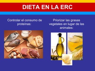 DIETA EN LA ERC 
Controlar el consumo de 
proteínas: 
Priorizar las grasas 
vegetales en lugar de las 
animales: 
 
