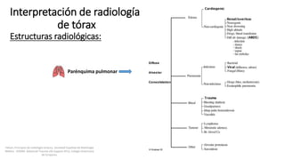 Interpretación de radiología
de tórax
Estructuras radiológicas:
Parénquima pulmonar
Felson, Principios de radiología torácica. Sociedad Española de Radiología
Médica - SERAM. Advanced Trauma Life Support ATLS, Colegio Americano
de Cirujanos.
 