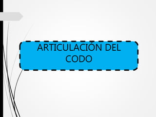 ARTICULACIÓN DEL
CODO
 
