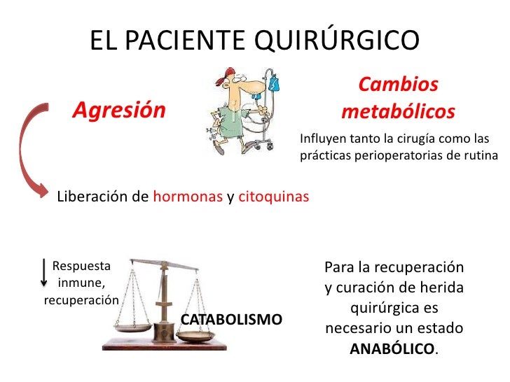 Soporte nutricional en paciente quirúrgico Soporte nutricional en paciente quirúrgico
