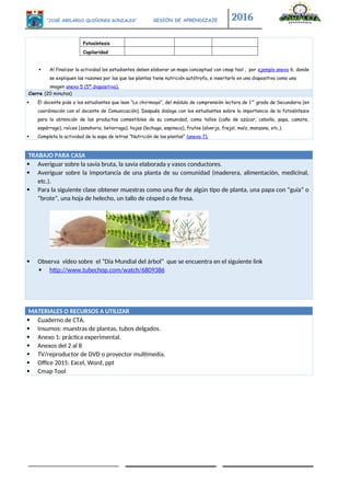 “JOSÉ ABELARDO QUIÑONES GONZALES” SESIÓN DE APRENDIZAJE 2016
Fotosíntesis
Capilaridad
 Al finalizar la actividad los estudiantes deben elaborar un mapa conceptual con cmap tool , por ejemplo anexo 6, donde
se expliquen las razones por las que las plantas tiene nutrición autótrofa, e insertarlo en una diapositiva como una
imagen anexo 5 (5ª diapositiva).
Cierre (20 minutos)
 El docente pide a los estudiantes que lean “La chirimoya”, del módulo de comprensión lectora de 1er
grado de Secundaria (en
coordinación con el docente de Comunicación). Después dialoga con los estudiantes sobre la importancia de la fotosíntesis
para la obtención de los productos comestibles de su comunidad, como tallos (caña de azúcar, cebolla, papa, camote,
espárrago), raíces (zanahoria, betarraga), hojas (lechuga, espinaca), frutos (alverja, frejol, maíz, manzana, etc.).
 Completa la actividad de la sopa de letras “Nutrición de las plantas” (anexo 7).
TRABAJO PARA CASA
 Averiguar sobre la savia bruta, la savia elaborada y vasos conductores.
 Averiguar sobre la importancia de una planta de su comunidad (maderera, alimentación, medicinal,
etc.).
 Para la siguiente clase obtener muestras como una flor de algún tipo de planta, una papa con “guía” o
“brote”, una hoja de helecho, un tallo de césped o de fresa.
 Observa video sobre el “Día Mundial del árbol” que se encuentra en el siguiente link
 http://www.tubechop.com/watch/6809386
MATERIALES O RECURSOS A UTILIZAR
 Cuaderno de CTA.
 Insumos: muestras de plantas, tubos delgados.
 Anexo 1: práctica experimental.
 Anexos del 2 al 8
 TV/reproductor de DVD o proyector multimedia.
 Office 2015: Excel, Word, ppt
 Cmap Tool
 