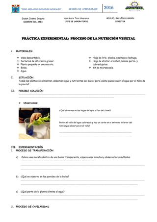 “JOSÉ ABELARDO QUIÑONES GONZALES” SESIÓN DE APRENDIZAJE 2016
Susan Cosme Segura
DOCENTE DEL AREA
Ana Maria Toro Huaranca
JEFE DE LABORATORIO
MIGUEL BALbÍN HUAMÁN
DIRECTOR
PRÁCTICA EXPERIMENTAL: PROCESO DE LA NUTRICIÓN VEGETAL
 MATERIALES:
 Vaso descartable.
 Sorbetes de diferente grosor.
 Planta pequeña en una maceta.
 Bolsa.
 Agua.
 Hoja de lirio, elodea, espinaca o lechuga.
 Hoja de afeitar o bisturí, lamina porta- y
cubreobjetos.
 Kit de microscopía.
I. SITUACIÓN
Todas las plantas se alimentan, absorben agua y nutrientes del suelo, pero ¿cómo puede subir el agua por el tallo de
la planta?
II. POSIBLE SOLUCIÓN
……………………………………………………………………………………………………………………………………………………………………………………………………………………………………………
………………………………………………………………………………………………………………………………………………………………………………..
 Observemos:
III. EXPERIMENTACIÓN
1. PROCESO DE TRANSPIRACIÓN
a) Coloca una maceta dentro de una bolsa transparente, espera unos minutos y observa los resultados.
……………………………………………………………………………………………………………………………………….
………………………………………………………………………………………………………………………………………………………………………………………………………………………………………
………………………………………………………………………….….
b) ¿Qué se observa en las paredes de la bolsa?
………………………………………………………………………………………………………………………………………………………………………………………………………………………………………
…………………………………………………………………………………………………………………………………………………………………………………………………….…………………..
c) ¿Qué parte de la planta elimina el agua?
………………………………………………………………………………………………………………………………………………………………………………………………………………………………………
…………………………………………………………………………………………………………………………………………………………………………………………………….…………………..
2. PROCESO DE CAPILARIDAD
¿Qué observas en las hojas del apio o flor del clavel?
…………………………………………………………..………………………………………………………………………….
Retira el tallo del agua coloreada y haz un corte en el extremo inferior del
tallo ¿Qué observas en el tallo?
………………………………………………………………………………………………………………………………………
……………………………………………………………………………………………………………………………………..
 