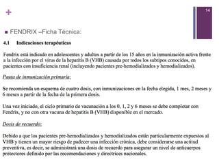 +
 FENDRIX –Ficha Técnica:
14
 