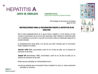 +
HEPATITIS A
16
 