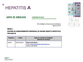 +
HEPATITIS A
21
 