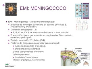 +
EMI: MENINGOCOCO
 EMI: Meningococo –Neisseria meningitidis-
 2ª causa de meningitis bacteriana en adultos (1º causa S.
Pneumoniae) y 1ª en niños
 Diferentes serogrupos (12)
 A, B, C, W, X e Y  mayoría de los casos a nivel mundial
 Transmisión directa por secreciones respiratorias. Tras contacto
estrecho y prolongado.
 Período incubación: 2-10 días (3-4)
 Factores de riesgo para desarrollar la enfermedad:
 Asplenia anatómica o funcional.
 Deficiencia de properdina
y otros componentes terminales
del complemento.
 (+ edad/expº humo tabaco,
infección gripal previa, hacinamiento)
31
 
