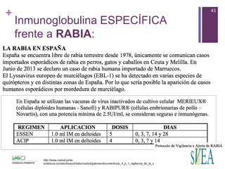 +
Inmunoglobulina ESPECÍFICA
frente a RABIA:
43
http://www.csalud.junta-
andalucia.es/salud/export/sites/csalud/galerias/documentos/p_4_p_1_vigilancia_de_la_salud/rabia_2014.pdf
 