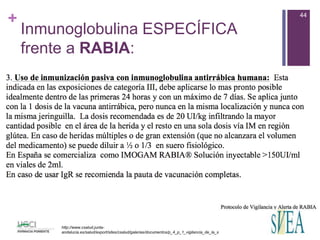 +
Inmunoglobulina ESPECÍFICA
frente a RABIA:
44
http://www.csalud.junta-
andalucia.es/salud/export/sites/csalud/galerias/documentos/p_4_p_1_vigilancia_de_la_salud/rabia_2014.pdf
 
