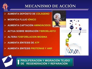 AUMENTA DEPÓSITO DE  COLÁGENO MODIFICA FLUJO  IÓNICO AUMENTA CAPTACIÓN  AMINOÁCIDOS ACTUA SOBRE MIGRACIÓN  FIBROBLASTO ALTERA  FOSFORILACION MIOSINA AUMENTA SÍNTESIS DE  ATP AUMENTA SÍNTESIS  PROTEÍNAS Y AND PROLIFERACIÓN Y MIGRACIÓN TEJIDO DE  REGENERACIÓN Y REPARACIÓN MECANISMO DE ACCIÓN 