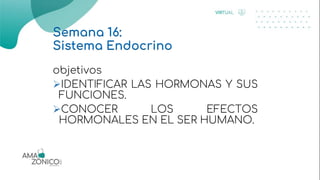 Semana 16:
Sistema Endocrino
objetivos
IDENTIFICAR LAS HORMONAS Y SUS
FUNCIONES.
CONOCER LOS EFECTOS
HORMONALES EN EL SER HUMANO.
 