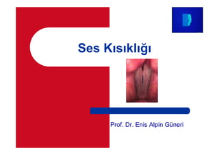 Ses K s kl
Prof. Dr. Enis Alpin Güneri
 