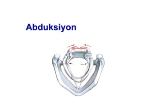 AbduAbduksiyonksiyon
 