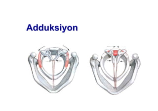 AdduAdduksiyonksiyon
 