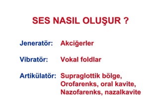 JeneratJeneratöör:r: AkciAkci erlererler
VibratVibratöör:r: VokalVokal foldlarfoldlar
ArtikArtiküülatlatöörr:: SupraglottikSupraglottik bböölge,lge,
OrofarenksOrofarenks, oral, oral kavitekavite,,
NazofarenksNazofarenks,, nazalkavitenazalkavite
SES NASIL OLUSES NASIL OLU77UR ?UR ?
 