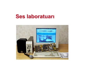 Ses laboratuarSes laboratuar
 