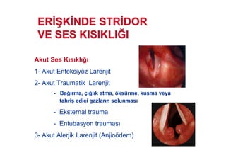 Akut Ses K s kl
1- Akut Enfeksiyöz Larenjit
2- Akut Traumatik Larenjit
- Ba rma, ç l k atma, öksürme, kusma veya
tahri( edici gazlar n solunmas
- Eksternal trauma
- Entubasyon traumas
3- Akut Alerjik Larenjit (Anjioödem)
ERER 77KK NDE STRNDE STR DORDOR
VE SES KISIKLIVE SES KISIKLIJJII
 