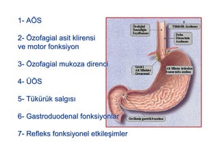 11-- AAÖÖSS
22-- ÖÖzofagialzofagial asitasit klirensiklirensi
ve motor fonksiyonve motor fonksiyon
33-- ÖÖzofagialzofagial mukoza direncimukoza direnci
44-- ÜÖÜÖSS
55-- TTüükküürrüük salgk salg ss
66-- GastroduodenalGastroduodenal fonksiyonlarfonksiyonlar
77-- Refleks fonksiyonel etkileRefleks fonksiyonel etkile##imlerimler
 