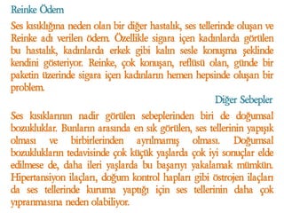 Ses Nedir