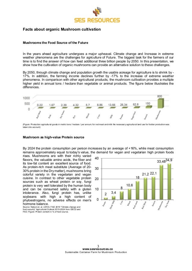 increase yield mushroom to how Cultivation Organic SES Mushroom