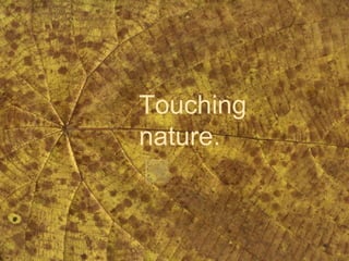 Touching nature.   