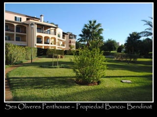 Ses Oliveres Penthouse – Propiedad Banco- Bendinat 
 