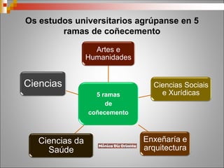 Os estudos universitarios agrúpanse en 5
ramas de coñecemento
5 ramas
de
coñecemento
Artes e
Humanidades
Ciencias Sociais
e Xurídicas
Enxeñaría e
arquitectura
Ciencias da
Saúde
Ciencias
 