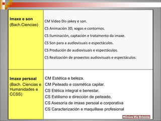 Imaxe e son
(Bach.Ciencias)
CM Vídeo Dis-jokey e son.
CS Animación 3D, xogos e contornos.
CS Iluminación, captación e tratamento da imaxe.
CS Son para a audiovisuais e espectáculos.
CS Produción de audiovisuais e espectáculos.
CS Realización de proxectos audiovisuais e espectáculos.
Imaxe persoal
(Bach. Ciencias e
Humanidades e
CCSS)
CM Estética e beleza.
CM Peiteado e cosmética capilar.
CS Etética integral e benestar.
CS Estilismo e dirección de peiteado.
CS Asesoría de imaxe persoal e corporativa
CS Caracterización e maquillaxe profesional
 
