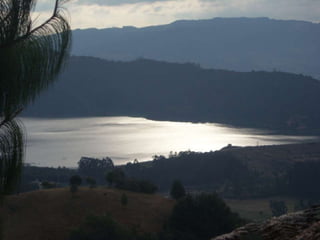 Identificación posibles proveedores "SESQUILE"