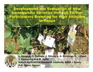 Development and Evaluation of New
Sweetpotato Varieties through Farmer
Participatory Breeding for High Altitudes
in Kenya
L. Karanja, J. Malinga, J. Ndung’u, A. Gichangi, D. Lelgut,
J. Kamundia and M. Gethi
Kenya Agricultural Research Institute, KARI – Njoro,
P.O. Njoro, Kenya
 